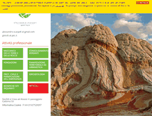 Tablet Screenshot of geosilt.com